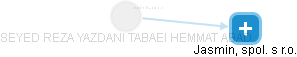  Tabaei S. - Vizualizace  propojení osoby a firem v obchodním rejstříku