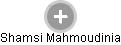 Shamsi Mahmoudinia - Vizualizace  propojení osoby a firem v obchodním rejstříku