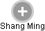 Shang Ming - Vizualizace  propojení osoby a firem v obchodním rejstříku