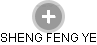 SHENG FENG YE - Vizualizace  propojení osoby a firem v obchodním rejstříku