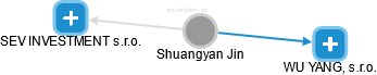 Shuangyan Jin - Vizualizace  propojení osoby a firem v obchodním rejstříku