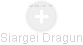 Siargei Dragun - Vizualizace  propojení osoby a firem v obchodním rejstříku
