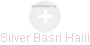 Silver Basri Halil - Vizualizace  propojení osoby a firem v obchodním rejstříku
