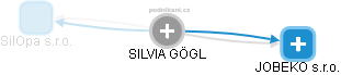SILVIA GÖGL - Vizualizace  propojení osoby a firem v obchodním rejstříku