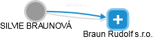 SILVIE BRAUNOVÁ - Vizualizace  propojení osoby a firem v obchodním rejstříku