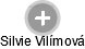 Silvie Vilímová - Vizualizace  propojení osoby a firem v obchodním rejstříku