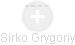Sirko Grygoriy - Vizualizace  propojení osoby a firem v obchodním rejstříku