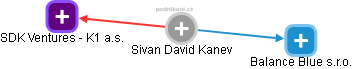 Sivan David Kanev - Vizualizace  propojení osoby a firem v obchodním rejstříku