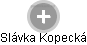 Slávka Kopecká - Vizualizace  propojení osoby a firem v obchodním rejstříku