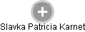 Slavka Patricia Karnet - Vizualizace  propojení osoby a firem v obchodním rejstříku