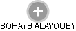 SOHAYB ALAYOUBY - Vizualizace  propojení osoby a firem v obchodním rejstříku