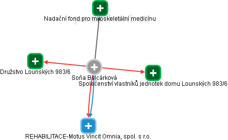 Soňa Balcárková - Vizualizace  propojení osoby a firem v obchodním rejstříku