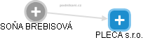 SOŇA BREBISOVÁ - Vizualizace  propojení osoby a firem v obchodním rejstříku