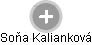 Soňa Kalianková - Vizualizace  propojení osoby a firem v obchodním rejstříku