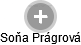 Soňa Prágrová - Vizualizace  propojení osoby a firem v obchodním rejstříku