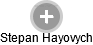 Stepan Hayovych - Vizualizace  propojení osoby a firem v obchodním rejstříku