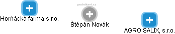  Štěpán N. - Vizualizace  propojení osoby a firem v obchodním rejstříku