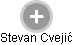 Stevan Cvejić - Vizualizace  propojení osoby a firem v obchodním rejstříku