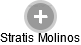 Stratis Molinos - Vizualizace  propojení osoby a firem v obchodním rejstříku