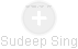 Sudeep Sing - Vizualizace  propojení osoby a firem v obchodním rejstříku