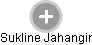 Sukline Jahangir - Vizualizace  propojení osoby a firem v obchodním rejstříku