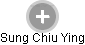 Sung Chiu Ying - Vizualizace  propojení osoby a firem v obchodním rejstříku
