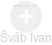  Šváb I. - Vizualizace  propojení osoby a firem v obchodním rejstříku