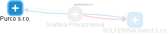Svatava Provazníková - Vizualizace  propojení osoby a firem v obchodním rejstříku