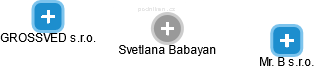 Svetlana Babayan - Vizualizace  propojení osoby a firem v obchodním rejstříku