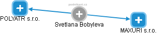 Svetlana Bobyleva - Vizualizace  propojení osoby a firem v obchodním rejstříku