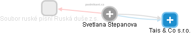 Svetlana Stepanova - Vizualizace  propojení osoby a firem v obchodním rejstříku