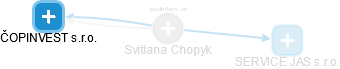 Svitlana Chopyk - Vizualizace  propojení osoby a firem v obchodním rejstříku