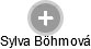 Sylva Böhmová - Vizualizace  propojení osoby a firem v obchodním rejstříku