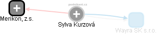 Sylva Kurzová - Vizualizace  propojení osoby a firem v obchodním rejstříku