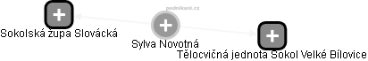 Sylva Novotná - Vizualizace  propojení osoby a firem v obchodním rejstříku