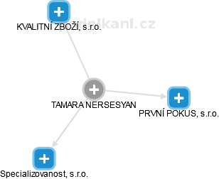 TAMARA NERSESYAN - Vizualizace  propojení osoby a firem v obchodním rejstříku