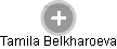 Tamila Belkharoeva - Vizualizace  propojení osoby a firem v obchodním rejstříku