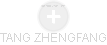 TANG ZHENGFANG - Vizualizace  propojení osoby a firem v obchodním rejstříku