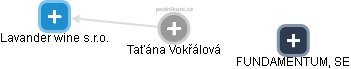 Taťána Vokřálová - Vizualizace  propojení osoby a firem v obchodním rejstříku