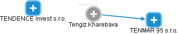Tengiz Kharebava - Vizualizace  propojení osoby a firem v obchodním rejstříku