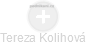 Tereza Kolihová - Vizualizace  propojení osoby a firem v obchodním rejstříku