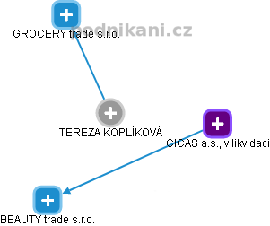  Tereza K. - Vizualizace  propojení osoby a firem v obchodním rejstříku