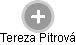 Tereza Pitrová - Vizualizace  propojení osoby a firem v obchodním rejstříku