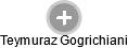 Teymuraz Gogrichiani - Vizualizace  propojení osoby a firem v obchodním rejstříku
