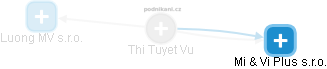 Thi Tuyet Vu - Vizualizace  propojení osoby a firem v obchodním rejstříku