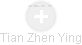Tian Zhen Ying - Vizualizace  propojení osoby a firem v obchodním rejstříku