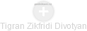 Tigran Zikfridi Divotyan - Vizualizace  propojení osoby a firem v obchodním rejstříku