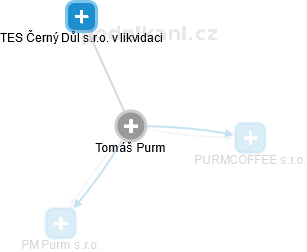 Tomáš Purm - Vizualizace  propojení osoby a firem v obchodním rejstříku