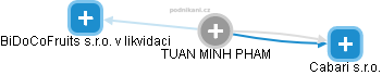  Tuan P. - Vizualizace  propojení osoby a firem v obchodním rejstříku
