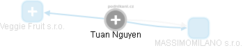 Tuan Nguyen - Vizualizace  propojení osoby a firem v obchodním rejstříku